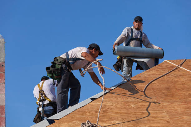 Roof Gutter Cleaning in College Park, MD