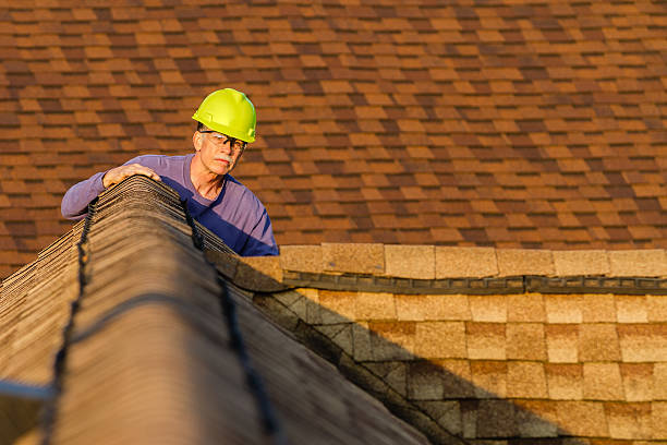 Roof Gutter Cleaning in College Park, MD